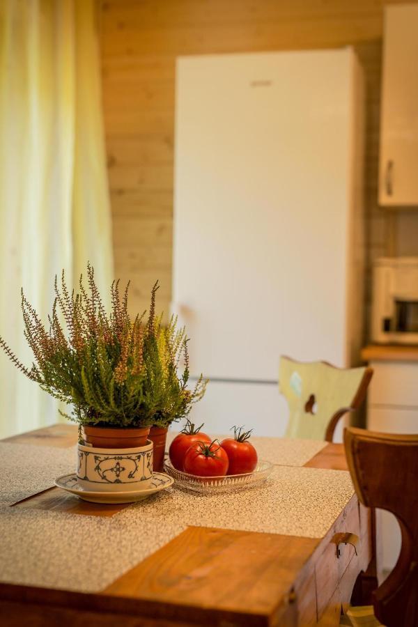 Gosciniec Tokarzonka Villa Istebna Luaran gambar