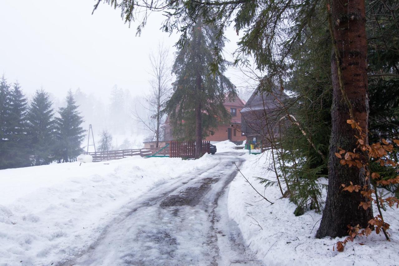 Gosciniec Tokarzonka Villa Istebna Luaran gambar