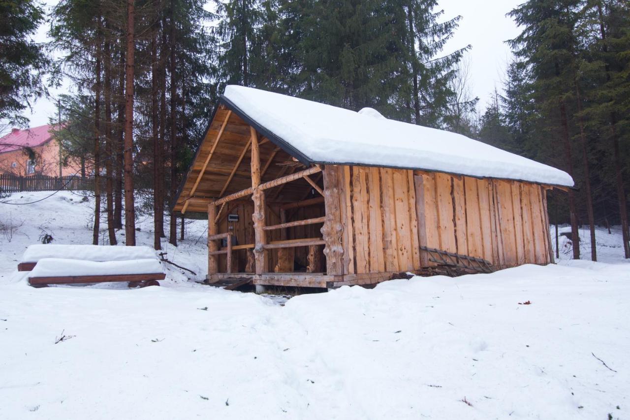 Gosciniec Tokarzonka Villa Istebna Luaran gambar